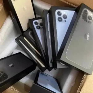 iPhone 13 Pro Max Palette